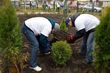Warszawa - wolontariusze przygotowali ogród na terenie Hospicjum Onkologicznego