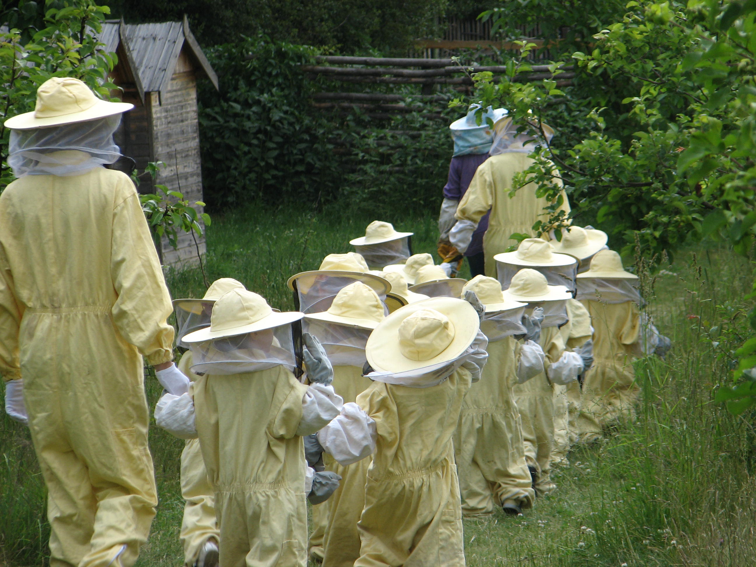 Pomiechówek - na terenie gospodarstwa agroturystycznego wolontariusze zorganizowali zajęcia na temat pszczół dla dzieci z Przedszkola nr 133 z Warszawy