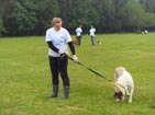 Korabiewice - wolontariusze podjęli się prac na rzecz zwierząt domowych (kotów, psów, koni) przebywających w Schronisku w Korabiewicach