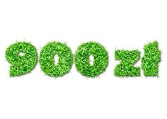 900 zł