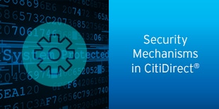 Security Mechanisms in CitiDirect ®