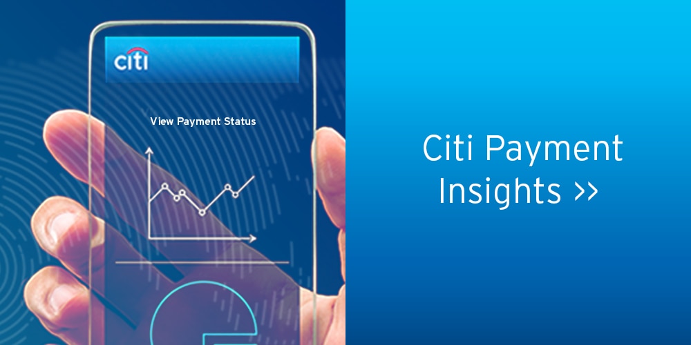 Citi Payment Insight