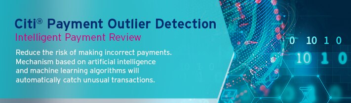 Citi Payment Outlier Detection